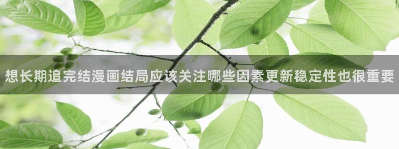 51漫画作品更新:想长期追完结漫画结局应该关注哪些因素更新稳定性也很重要