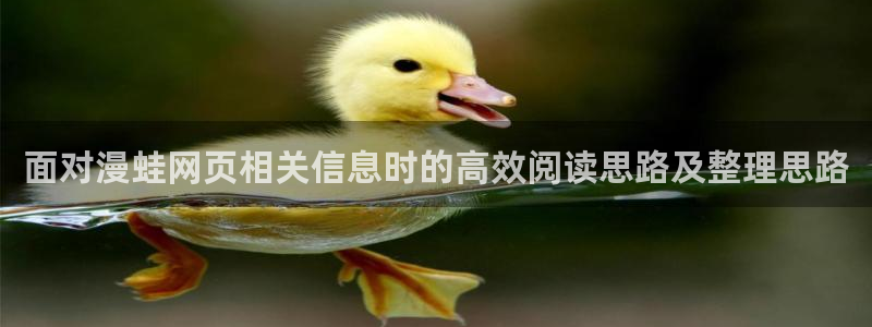 51漫画在线漫画网站:面对漫蛙网页相关信息时的高效阅读思路及整理思路