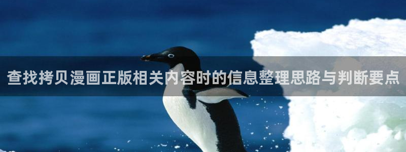 51漫画网站入口：查找拷贝漫画正版相关内容时的信息整理思路与判断要点